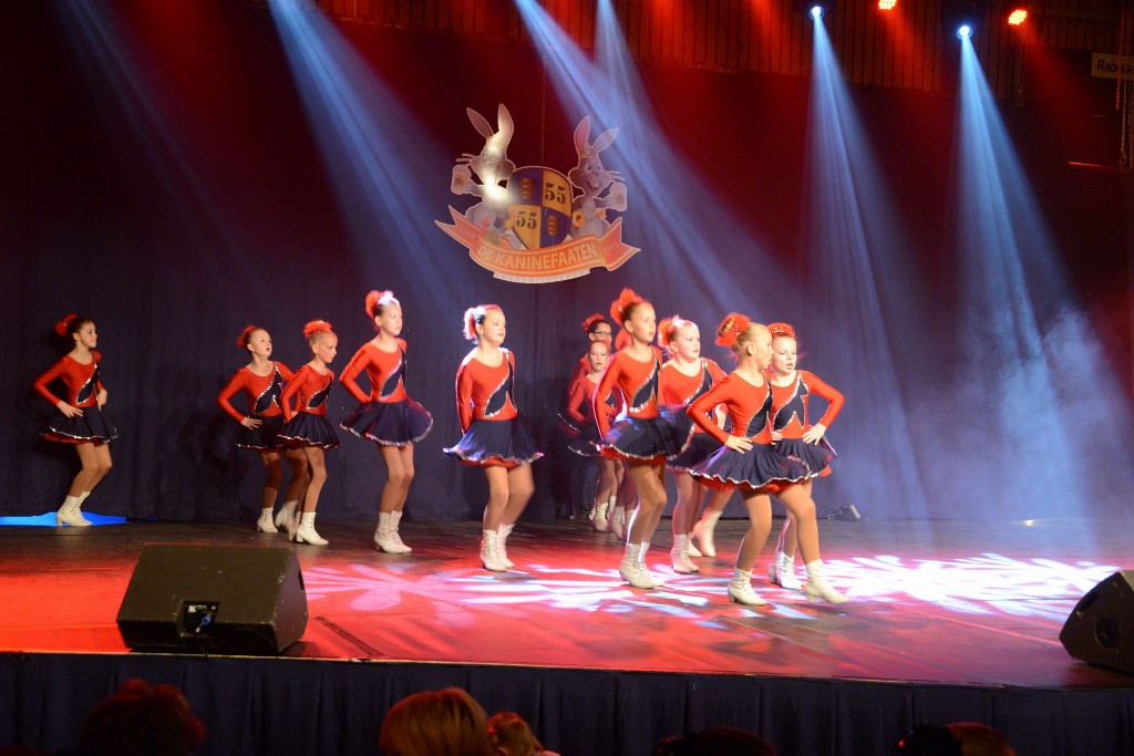../Images/Dansmarieke festival 2015 142.jpg